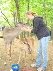 Kristen Raskauskas - Local Animal Conservation