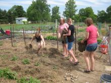 GH Garden Harvests Almost 500 lbs of Produce for Food Gatherers